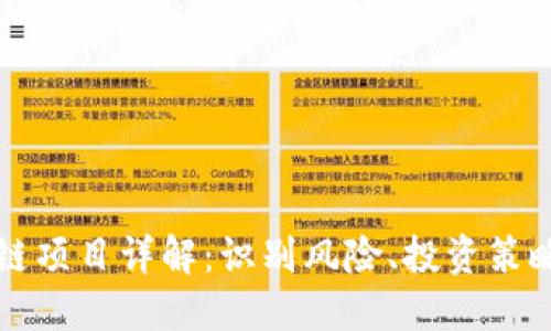 高风险区块链项目详解：识别风险、投资策略及未来趋势